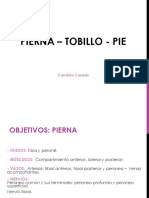 Pierna - Tobillo - Pie - Integración Mmii