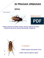 Controle Integrado de Vetores e Pragas Urbanas