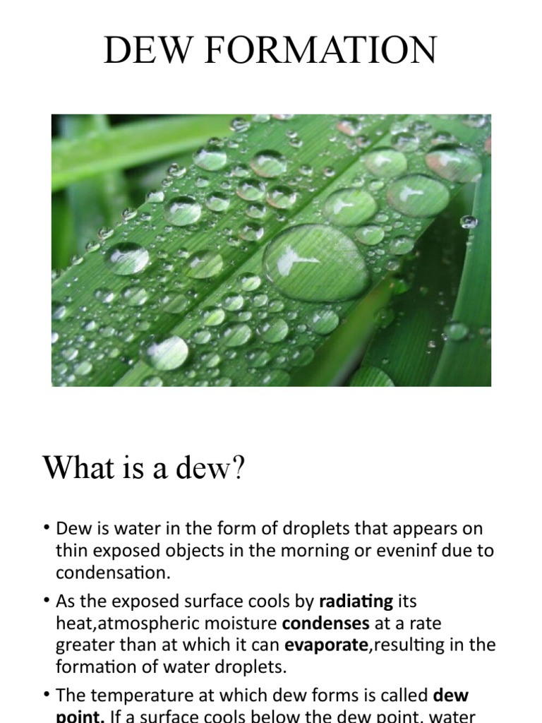 Understanding Dew Formation Process | PDF