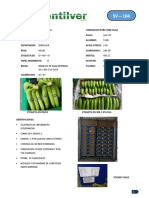 Especificaciones caja fumigación 1080 cajas