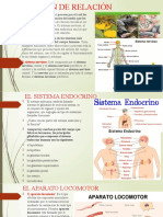 Función de Relación.pptxoctavo