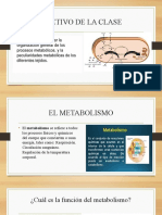 Objetivo de La Clase.pptxoctavo