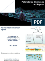 2.2 Potencial de Membrana en Reposo