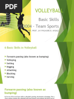 Volleyball Basic Skills