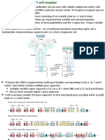 T Cell Receptor