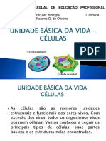 UNIDADE BÁSICA DA VIDA - CÉLULAS 1 1 Ano ADM e AGRO