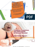 Materi Maternal Neonatal Agus SW