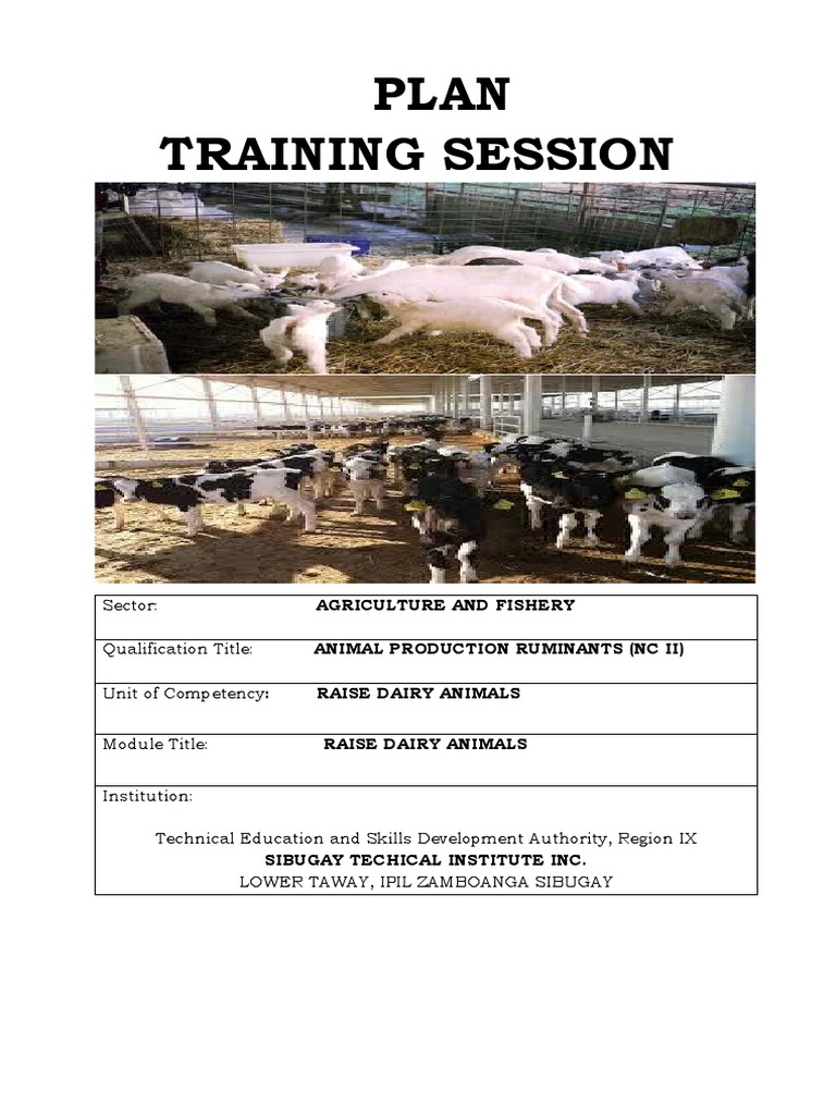 Dairy Farming Training Plan NC II | PDF | Sheep | Calf