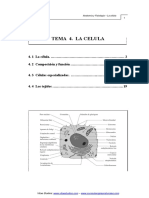 Celula y Tejidos