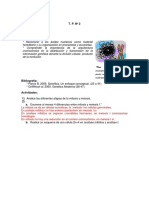 TP2 Mitosis y Meiosis Resuelto