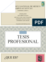 Tesis Profesional