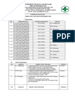 Laporan Pembinaan Posyandu Desember