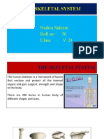 The Skeletal System: Nadira Saleem Roll No: 36 Class: V D