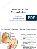 Development of The Nervous System: Matt Velkey 454A Davison, Green Zone, Duke South