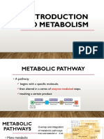 Lec 4.1 - Introduction To metabolism-BB