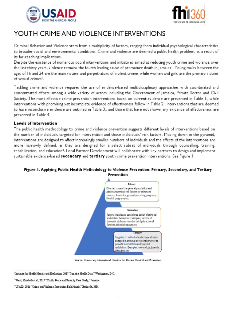 Youth Crime and Violence - Information Sheet (Final 2020) | PDF ...