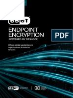 ESET Endpoint Encryption Overview