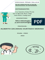 Infografía Guía de 5 Pasos Sobre Dieta Moderno Verde