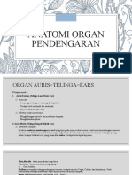 Anatomi Organ Pendengaran