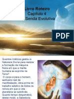 Estudo Do Livro Roteiro (Cap4) Na Senda Evolutiva