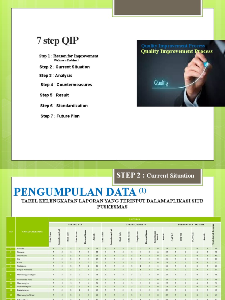 7-Step Quality Improvement Process | PDF