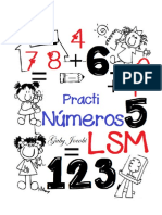 Practinumero LSM - PDF Versión 1