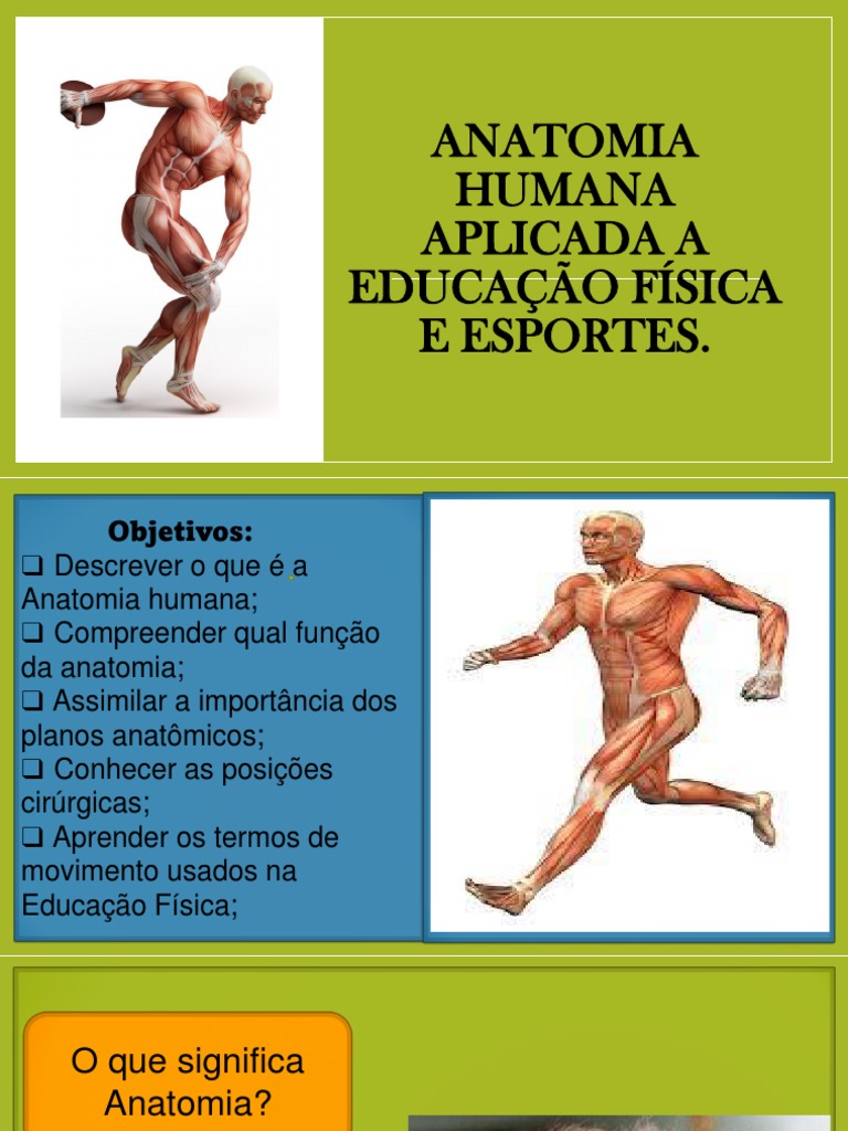 Anatomia Humana na Educação Física | PDF | Corpo humano | Sistema ...