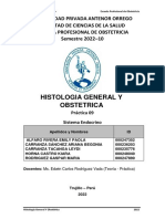 Guia - Practica Histologia 09