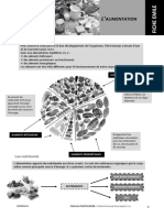 3) L'ALIMENTATION - Vocabulaire Des Aliments