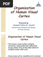 Download Organization of Human Visual Cortex by gtaha80 SN58127366 doc pdf