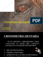 Cronometria Dentaria-1