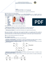 3º Ano - 1 e 2 Quinzena de Março