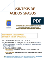 Biosintesis Acd Grasos