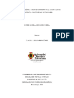 Ejemplo Informe Psic Por Sustancias