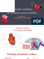 Copia de Dia de Fisiologia