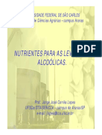 Nutrientes para leveduras alcoólicas