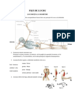 FIȘĂ de LUCRU Locomotia La Om