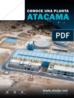 Atacama: Conoce Una Planta