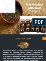 Proyecto Chía S13