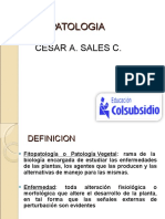 Fitopatologia Cesar