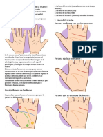 El Significado de Las Lc3adneas de La Mano