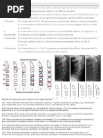 Edad Ósea Radiológica 2 | PDF | Mano | Hueso