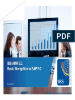 IBS AMR 3.0: Basic Navigation in SAP R/3: December 2014