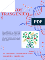 Cultivo Transgenico
