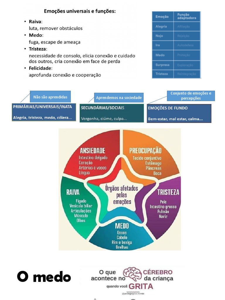 Psicoeducação Emoções Reg Emocional | PDF