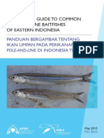 1g AP2HI Baitfish Guide 2018 July Training