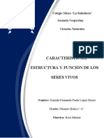 Características, Estructura y Función de Los Seres Vivos