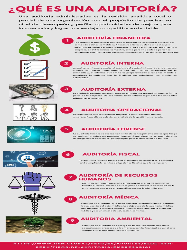 Infografía de Auditoria | PDF | Auditoría | Business