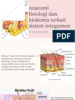 ANATOMIFISIOLOGIKULIT