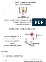 PPT, Fisiología. Coronado Carrillo Anel, 1A